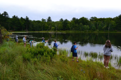 DSC_9733-Large