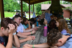 DSC_9793-Large